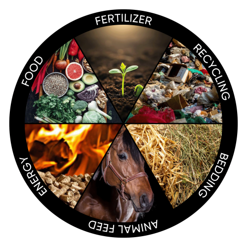 infografika--angielski