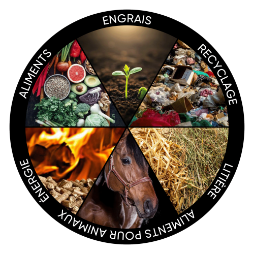 infografika--francuski