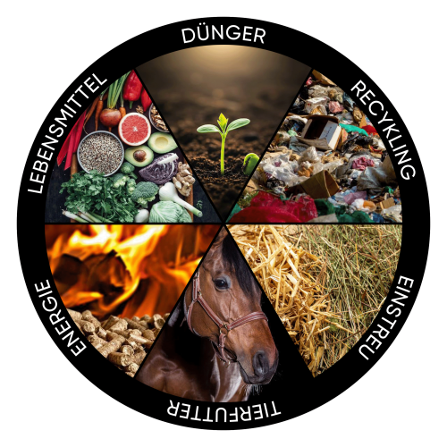 infografika--niemiecki